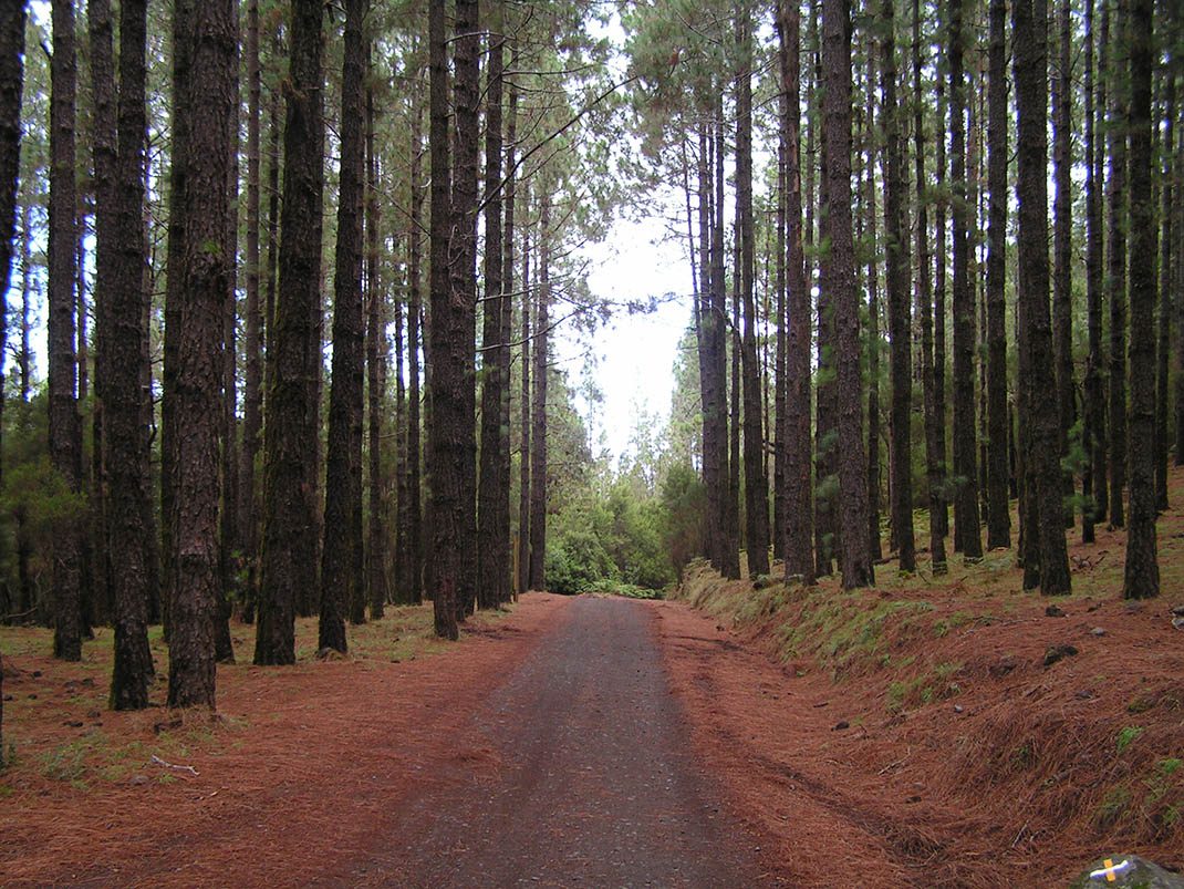 VM 1. Pista de Fuente Fría