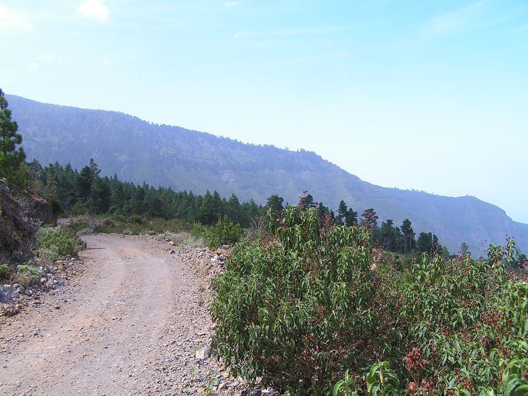 VM 12. Pista Chanajiga - Fuente Los Corchos