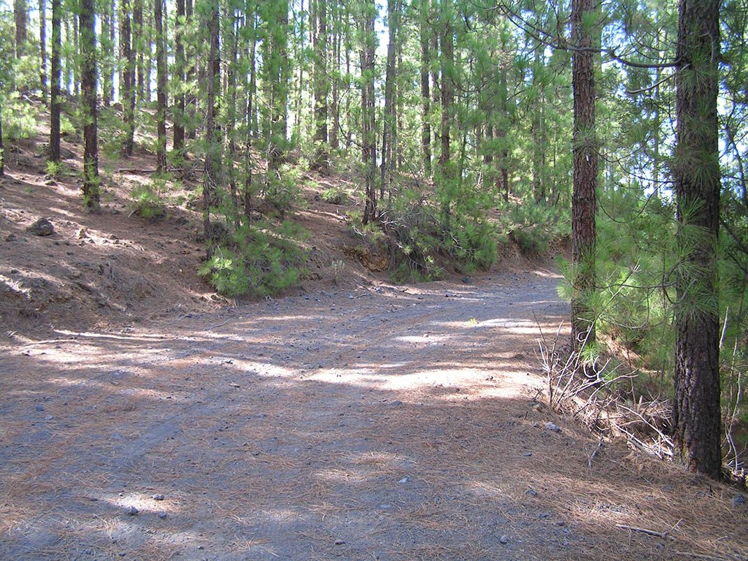 VM 13. Pista La Bermeja and Pista Almagre and Cabezón