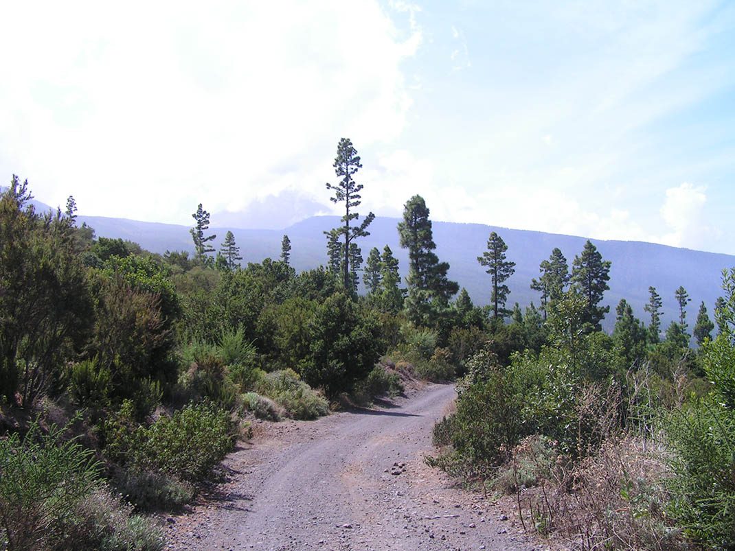 VM 14. Pista de Mataznos