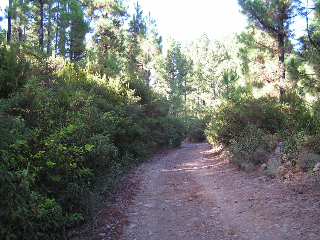 VM 15. Pista de Lolita and Caños Chingue
