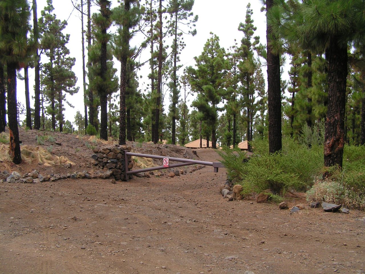 VM 17.1 Spur trail to the Emilio Fernández Muñoz Nature Camp
