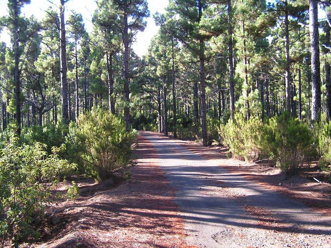 VM 18. Pista de Fuente Pedro