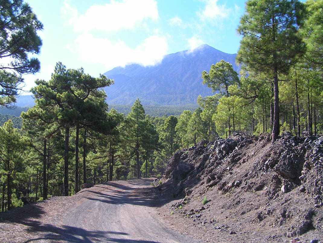 VM 19. Pista Fuente Santa