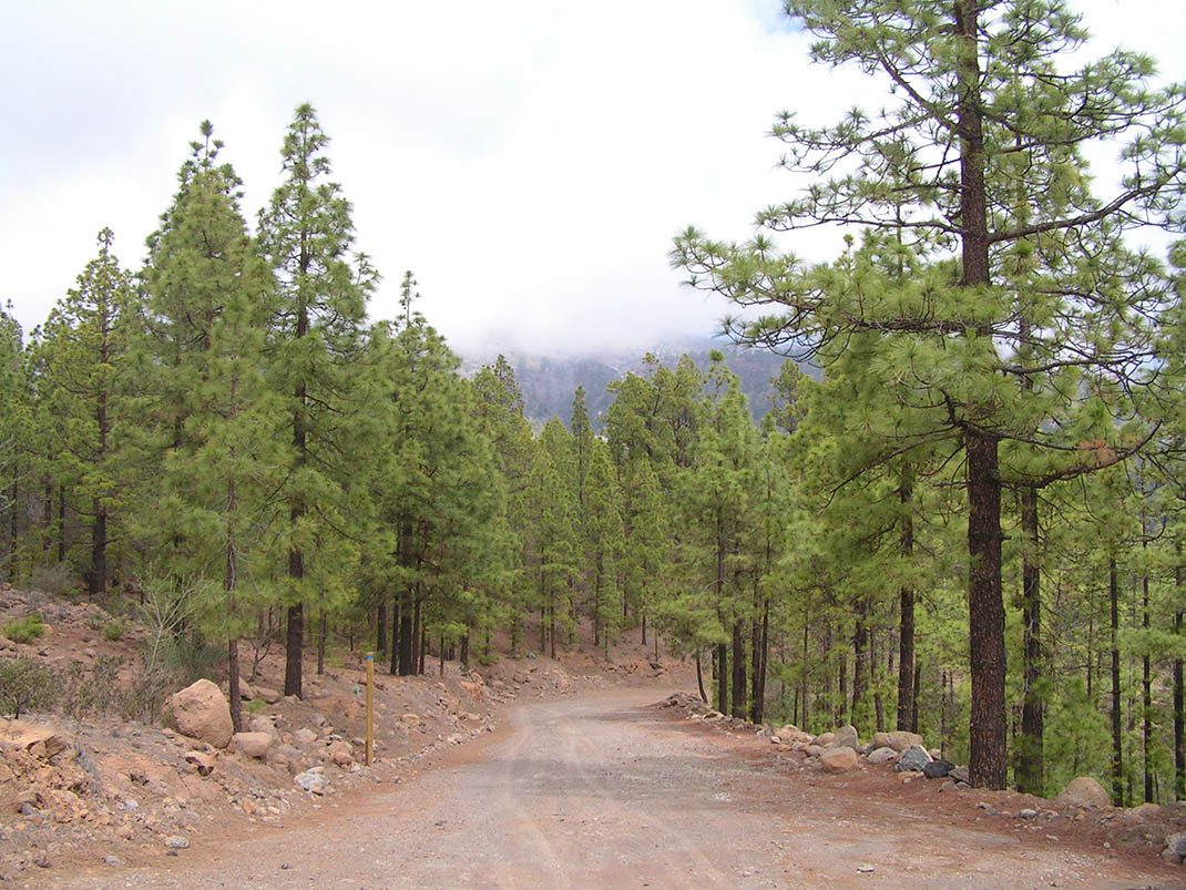 VM 21. Pista Madre del Agua