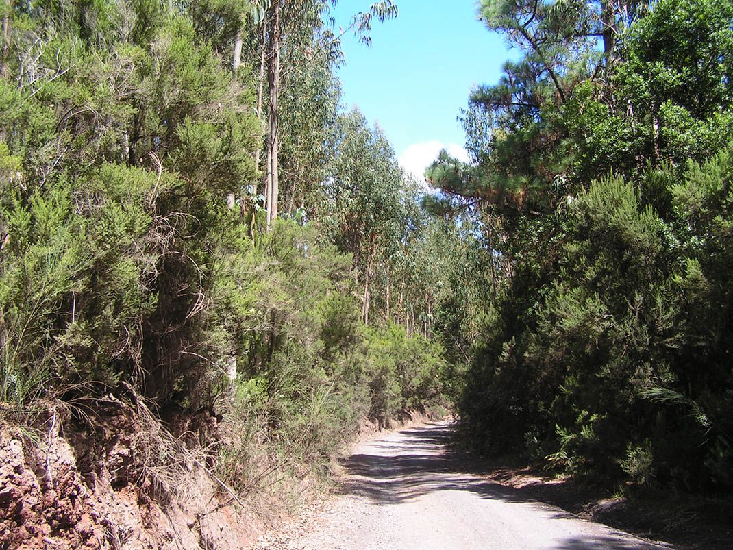 VM 4. Pista de El Rayo - Pista de El Fondo (1)