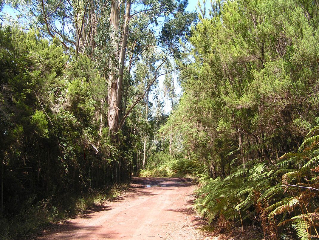 VM 7. Pista de Las Goteras