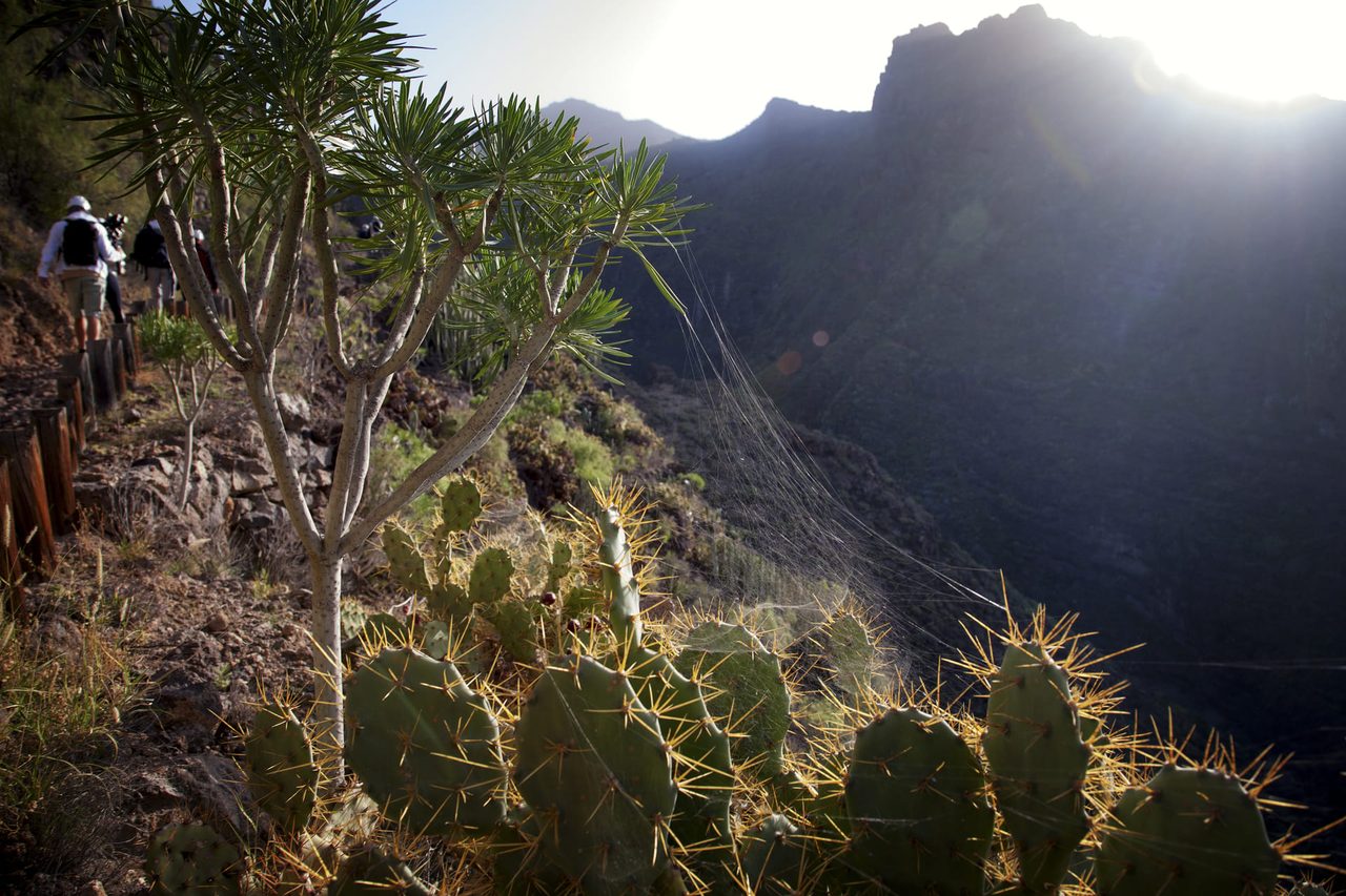 Barranco del Infierno Trail