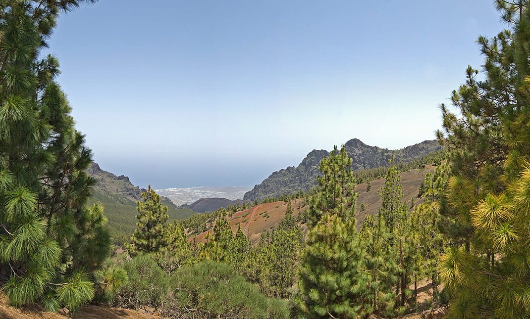 PR TF 35.4 Camino a Candelaria (Aguamansa - Crucita)