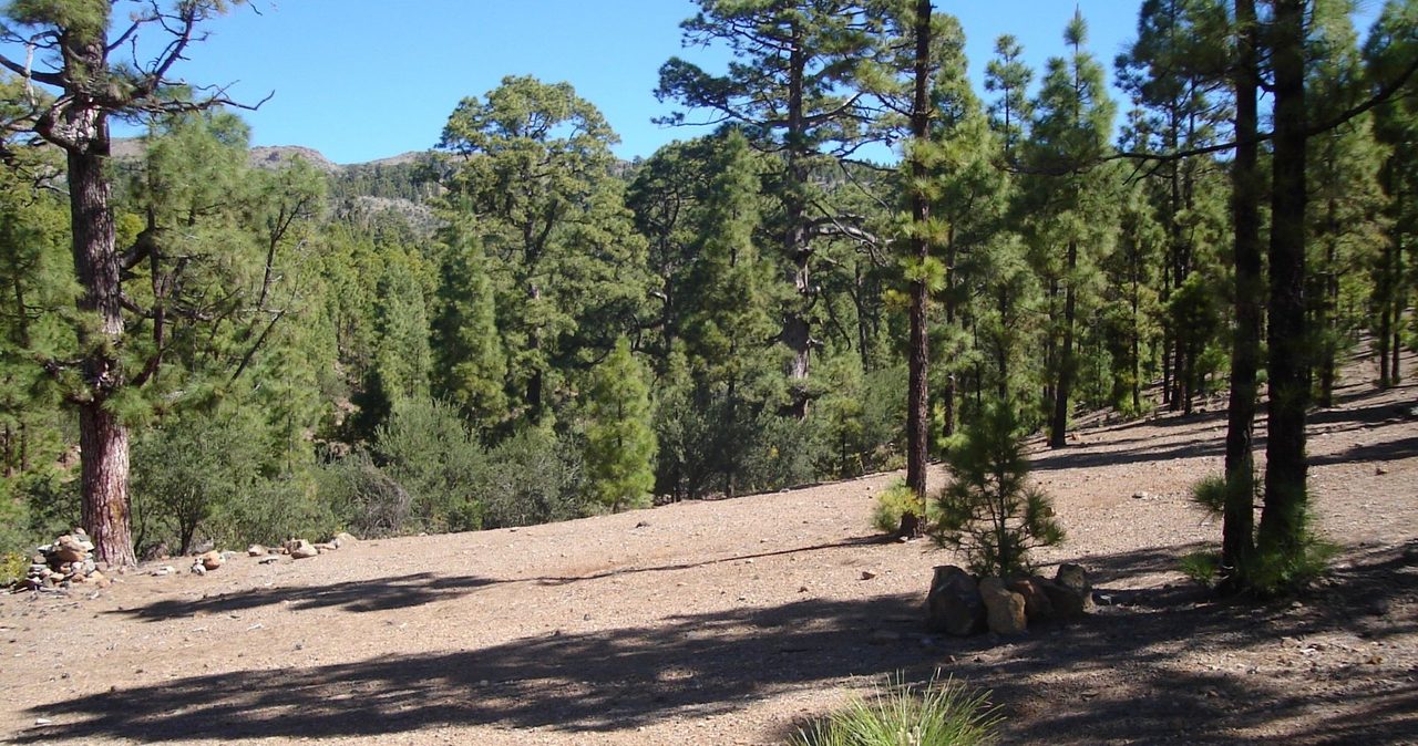 PR TF 86.2 Spur trail to Fuente del Llano Campsite for tents