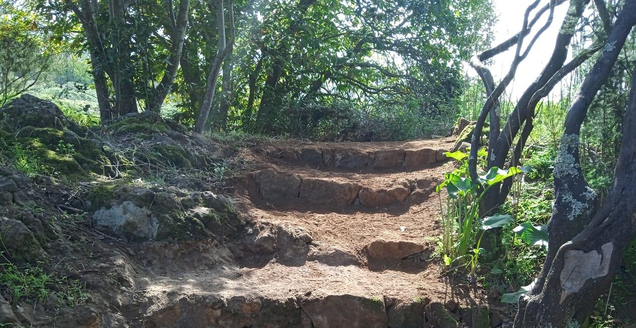SL TF 26 Los Nateros - La Vica Loop Trail