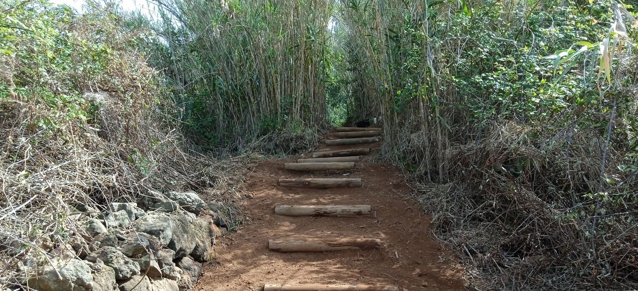 SL TF 27 Los Nateros - Morra del Pino Loop Trail
