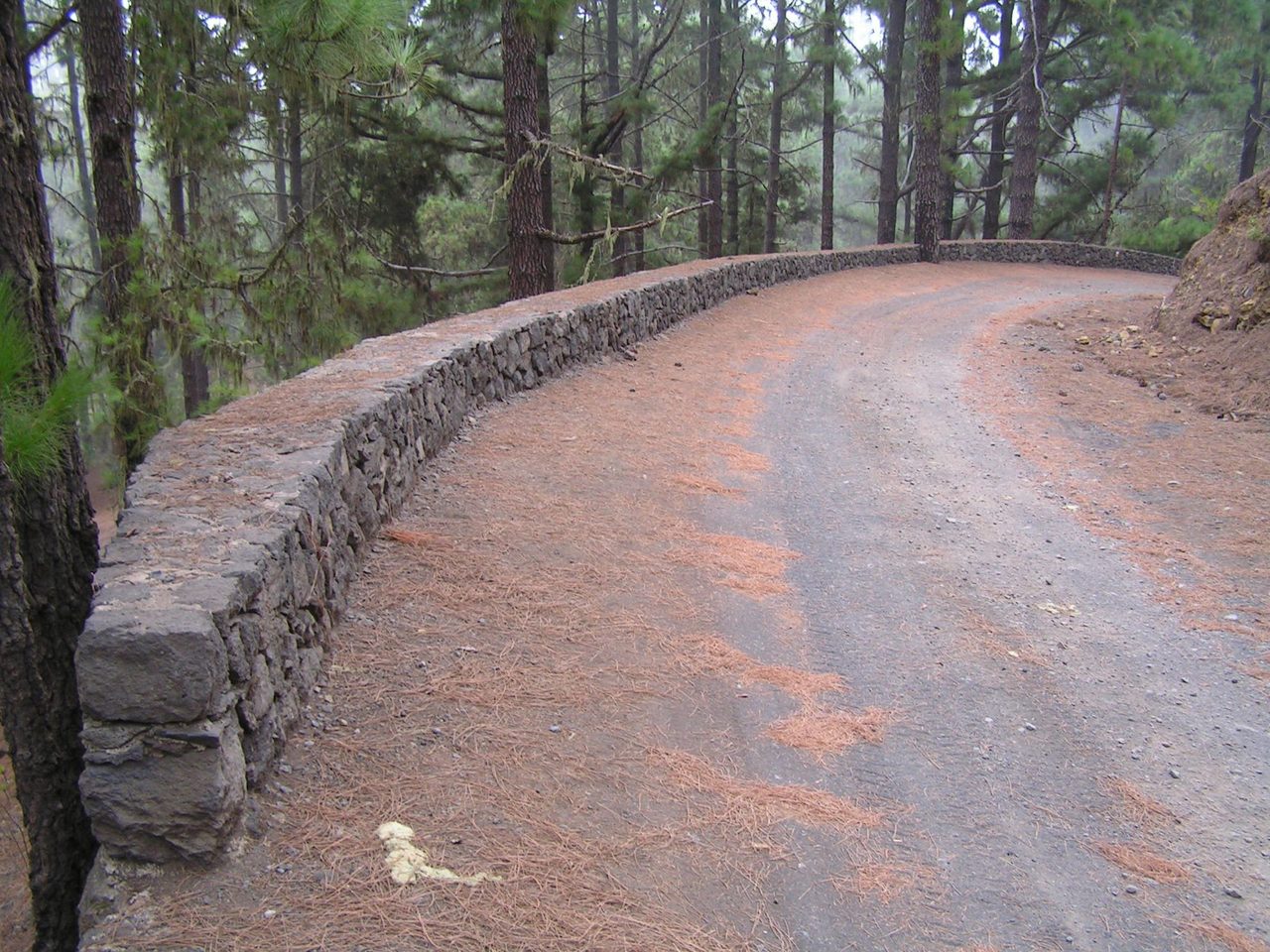 VM 20.1. Access to Arenas Negras car park