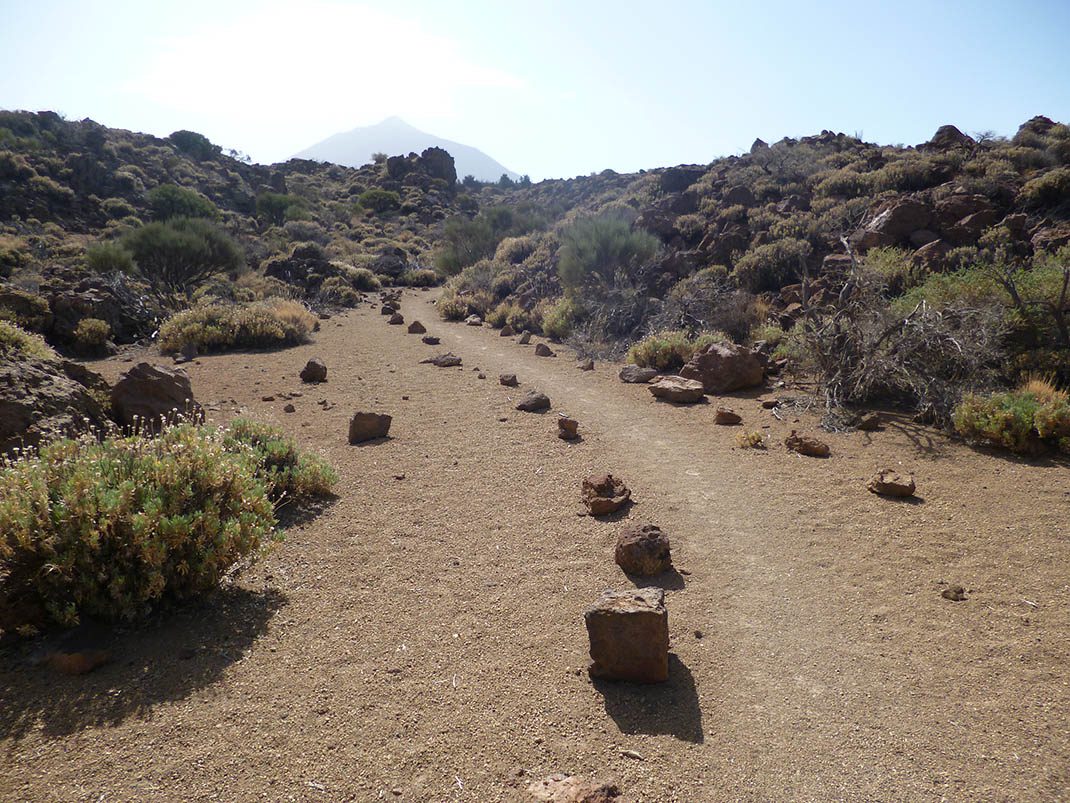 PNT 04.1 Portillo Alto Spur trail