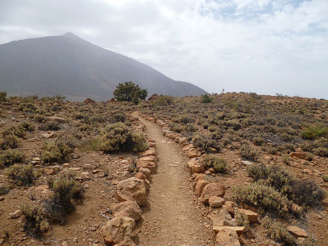 PNT 36.1 Ramal Alto de La Fortaleza