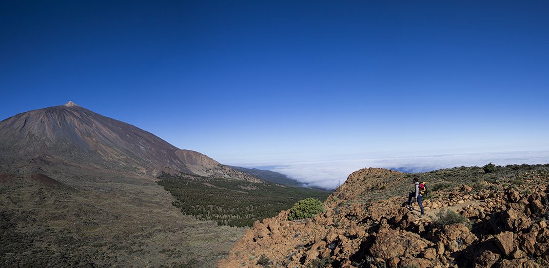 PNT 36 Alto de La Fortaleza Loop Trail
