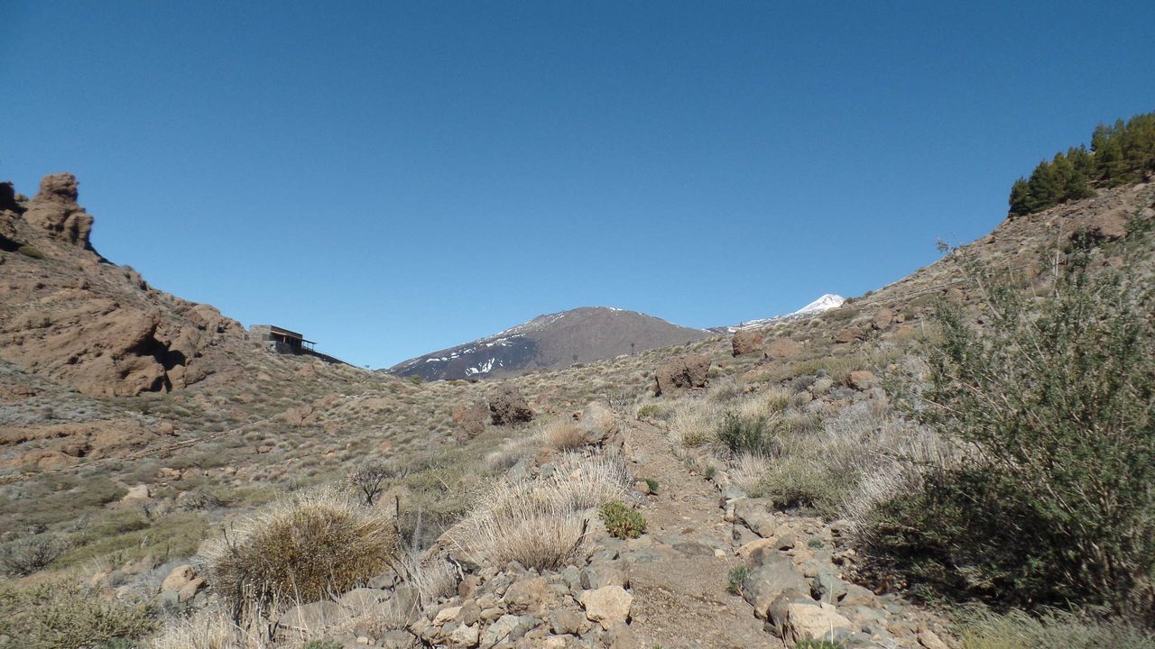 PNT 41 Barranco de Erques