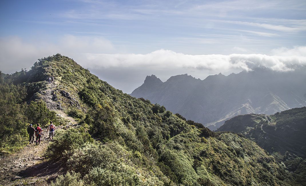 PR TF 02 Taborno - Pico del Inglés - Valleseco