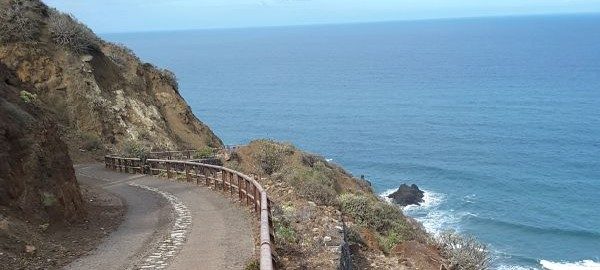 PR TF 06.2 Roque de Las Bodegas - Almáciga - Benijo - El Draguillo