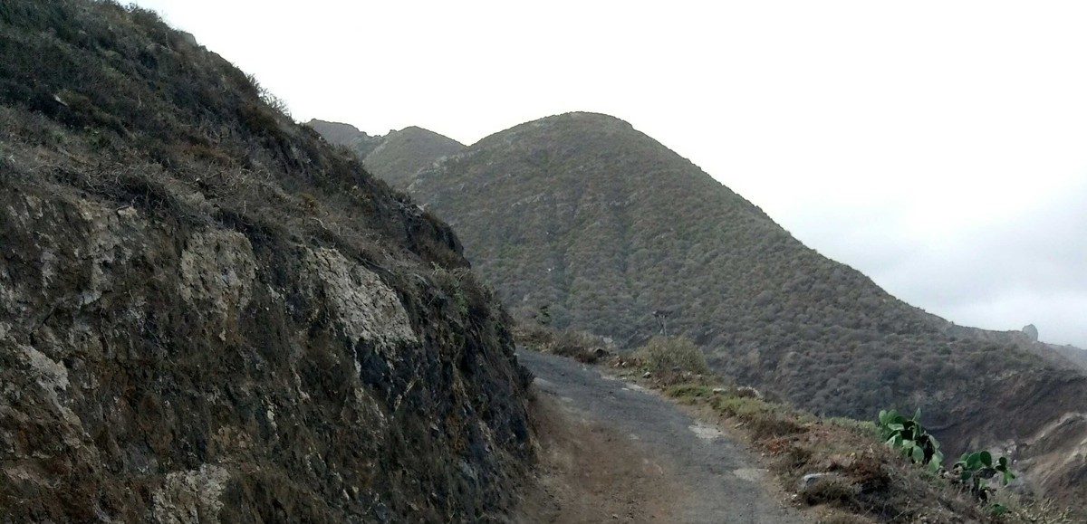 PR TF 06.3 Benijo - Cruz del Draguillo