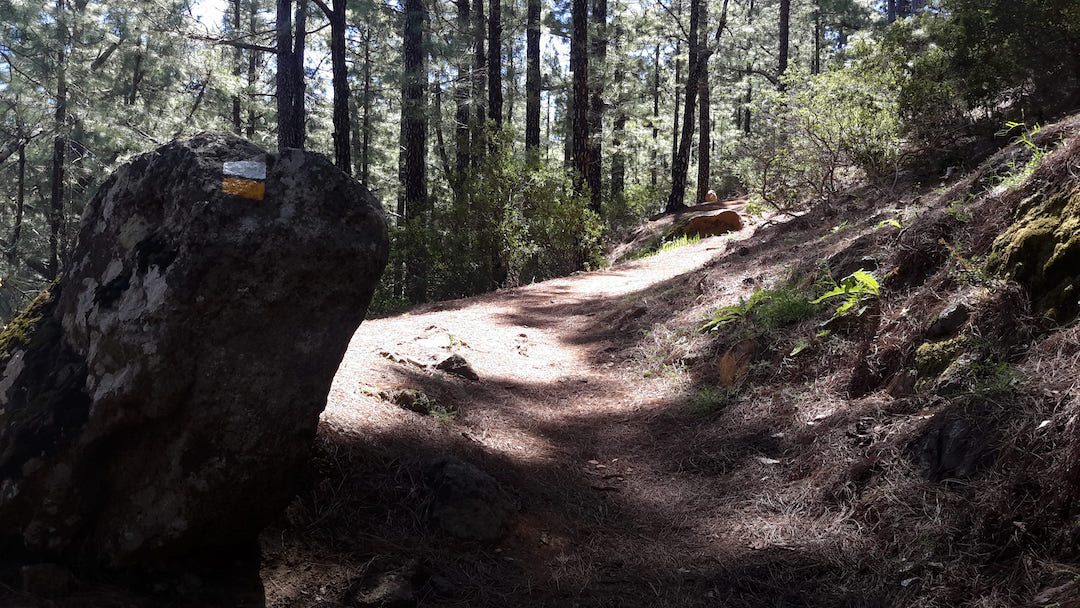 PR TF 25.2 Las Lagunetas - Hoya del Abade Recreational Area