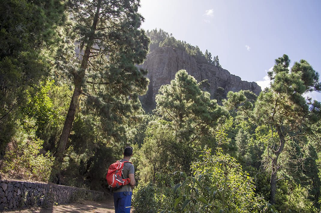 PR TF 35 La Caldera Recreational Area - Mamio - La Caldera Recreational Area Loop Trail