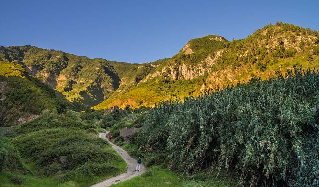 PR TF 40 Ladera de Tigaiga Loop Trail