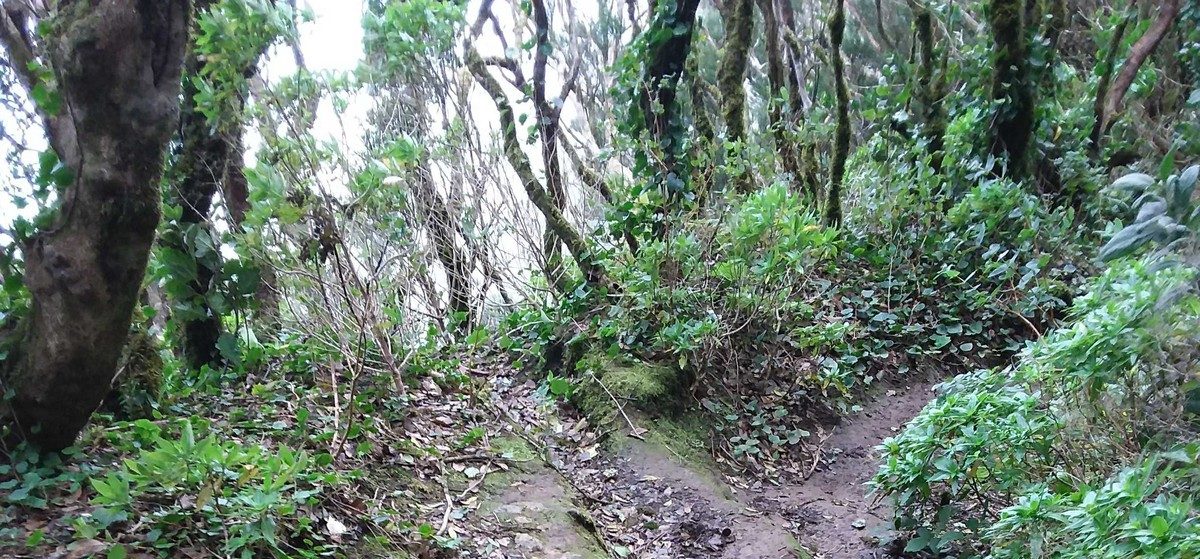 La Asomada - Cruz de Afur (Monte Aguirre Exclusion Zone)
