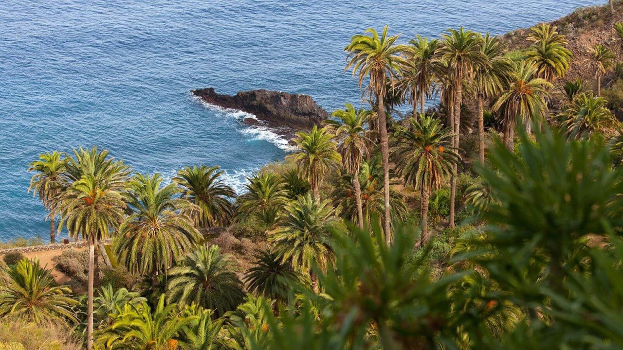 Rambla de Castro Trail