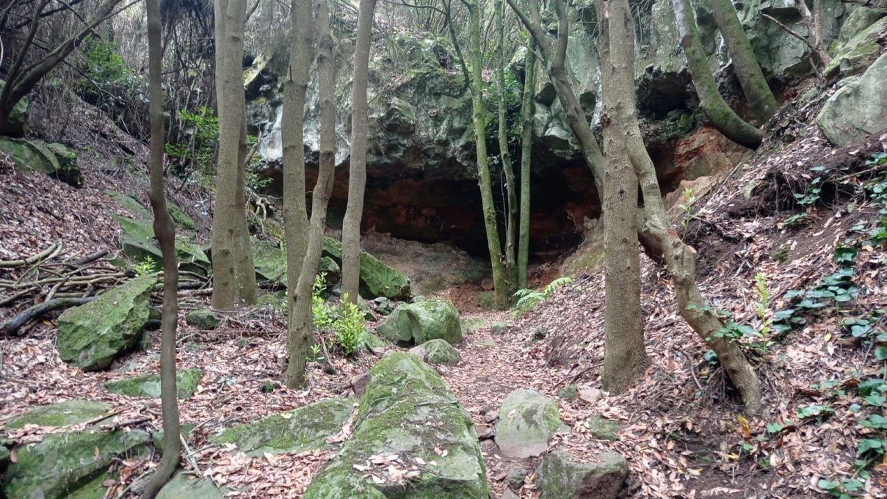 SL TF 151.1 Ruigómez - San José de Los Llanos Recreational Area