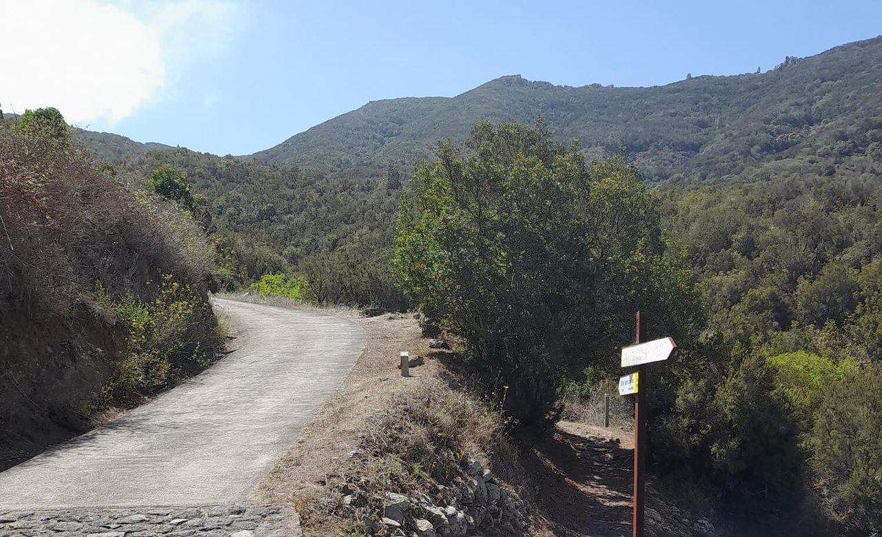 Bolico Loop Trail (Short)