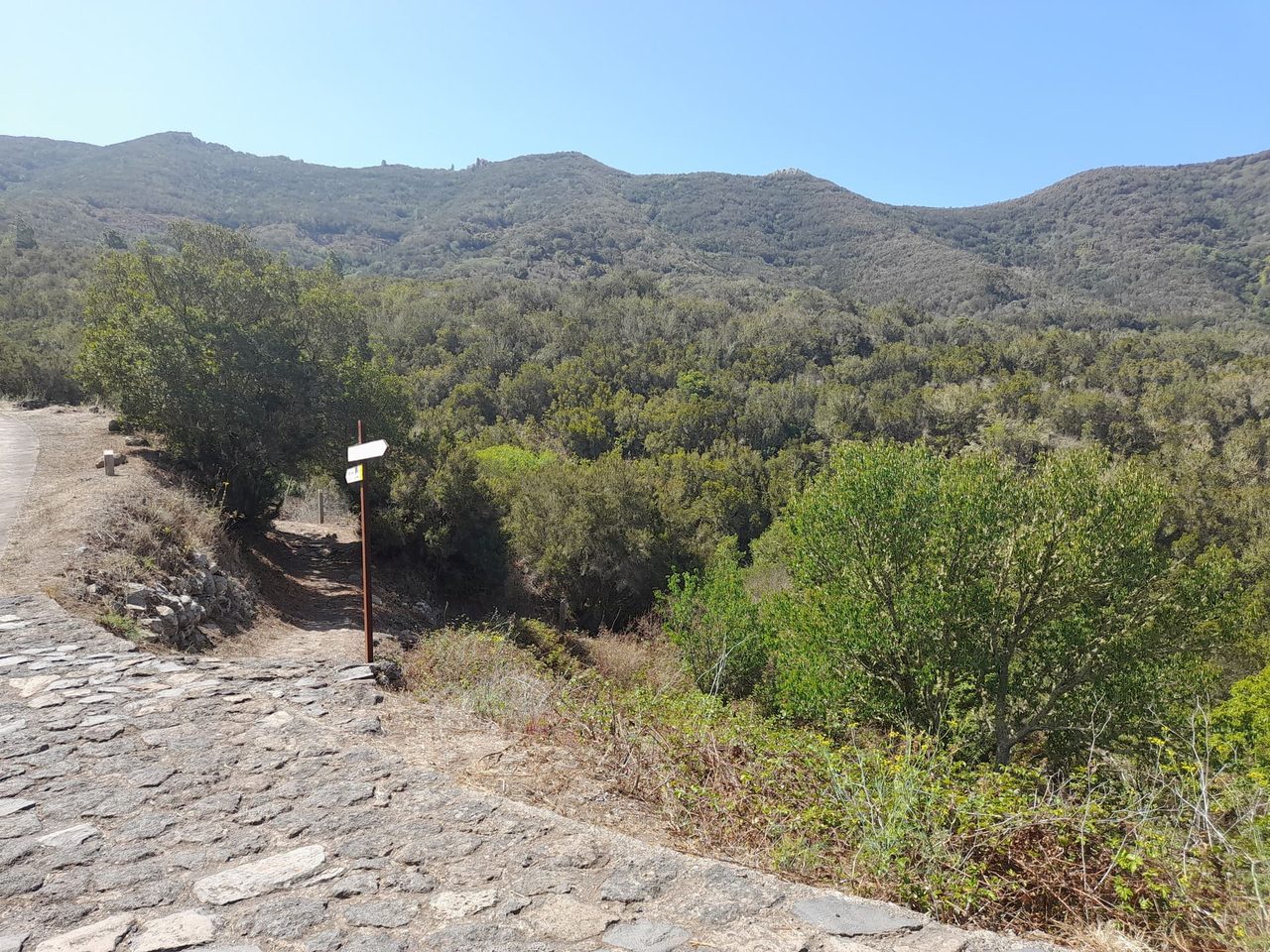 Bolico Loop Trail (Medium)