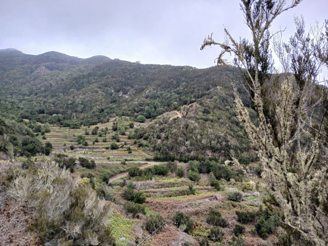 El Palmar – Monte del Agua Loop Trail via Las Lagunetas