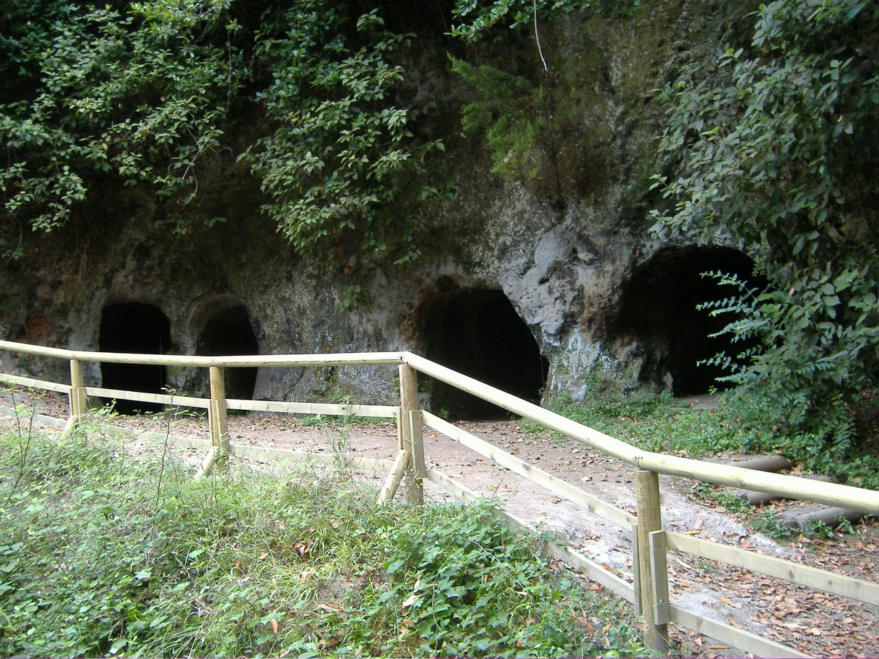 “Viñátigos Centenarios” Loop Trail