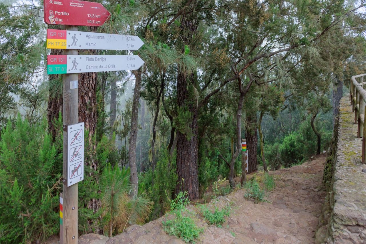SL TF 81.1 Orilla del Monte - Pista Benijos Spur trail