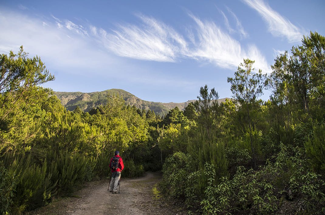 SL TF 81 Camino de La Orilla del Monte Loop Trail