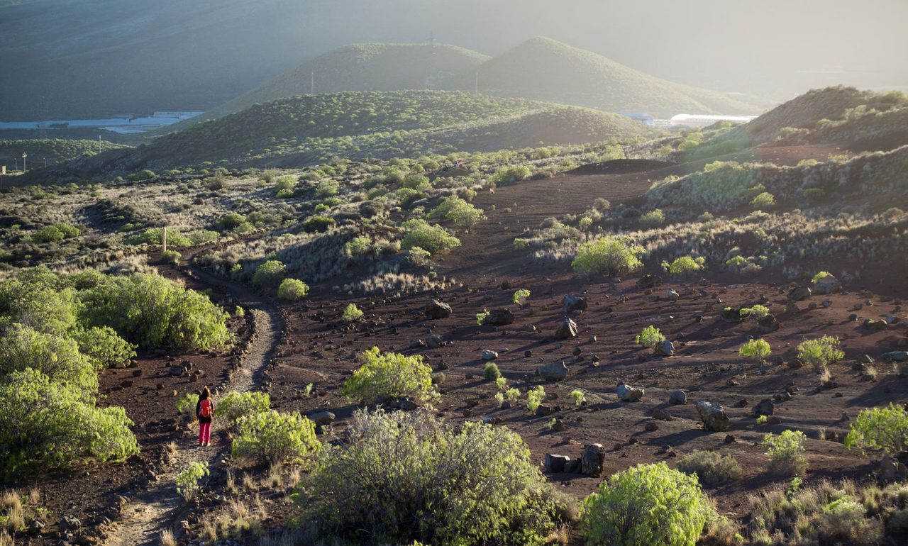 SL TF 900.1 Montaña Grande – Camino del Socorro Spur trail