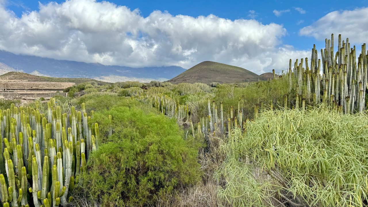 SL TF 904 Camino del Socorro - Punta de los Picos