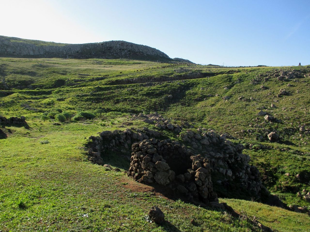 Teno Alto Self-Guided Loop Trail