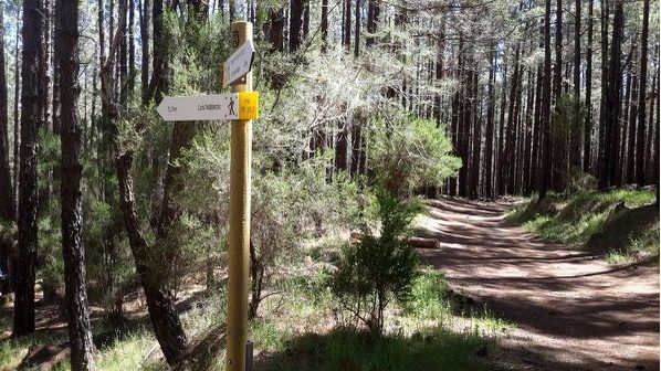 PR TF 25.6. PR TF 25.2 - PR TF 25.3 Spur trail