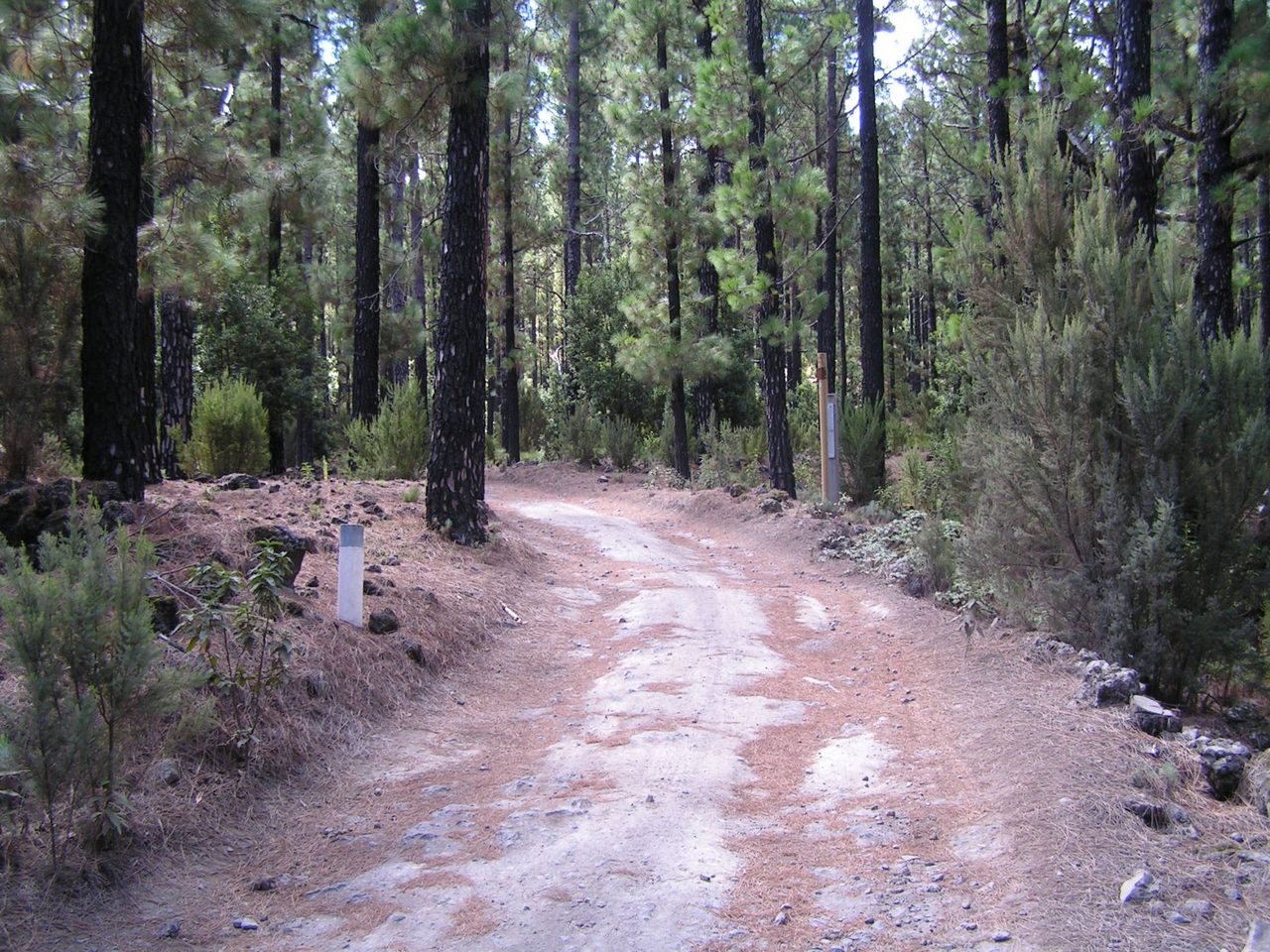 VM 19.2. Spur trail to Las Abiertas.