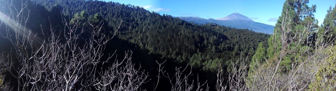 VM 5.1. Pista Hoya Mona